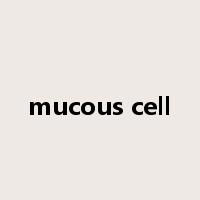 mucous cell是什么意思