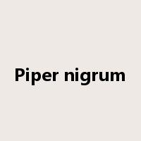 Piper nigrum是什么意思