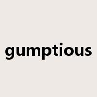 gumptious是什么意思