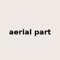 aerial part是什么意思