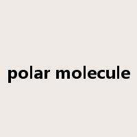 polar molecule是什么意思