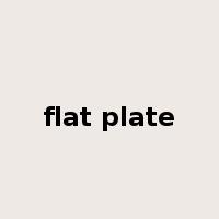 flat plate是什么意思