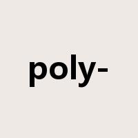 poly-是什么意思