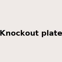 Knockout plate是什么意思