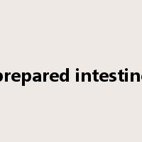 prepared intestine是什么意思