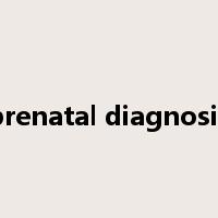 prenatal diagnosis是什么意思
