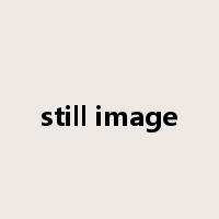 still image是什么意思