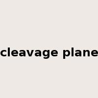 cleavage plane是什么意思