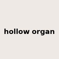 hollow organ是什么意思