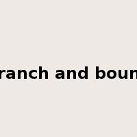 branch and bound是什么意思