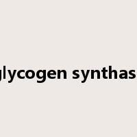 glycogen synthase是什么意思