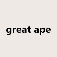 great ape是什么意思