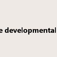 pervasive developmental disorder是什么意思