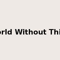 A World Without Thieves是什么意思