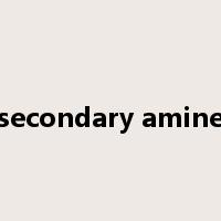 secondary amine是什么意思