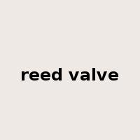 reed valve是什么意思
