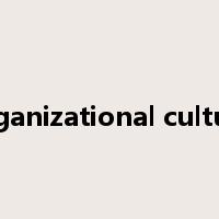 organizational culture是什么意思