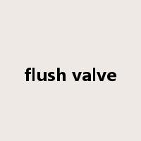 flush valve是什么意思