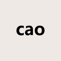 cao是什么意思