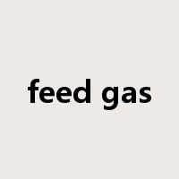 feed gas是什么意思