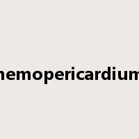 hemopericardium是什么意思