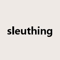 sleuthing是什么意思