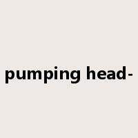 pumping head-是什么意思