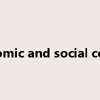 economic and social council是什么意思
