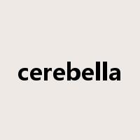 cerebella是什么意思
