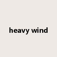 heavy wind是什么意思