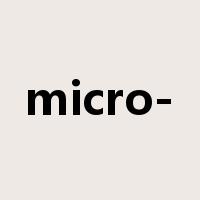 micro-是什么意思