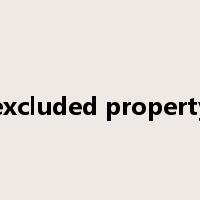 excluded property是什么意思