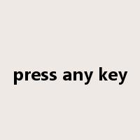 press any key是什么意思