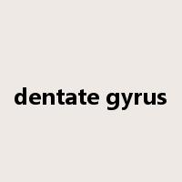 dentate gyrus是什么意思