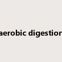 aerobic digestion是什么意思