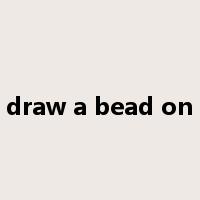 draw a bead on是什么意思