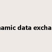 dynamic data exchange是什么意思