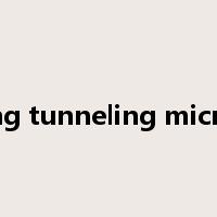 scanning tunneling microscope是什么意思