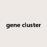 gene cluster是什么意思