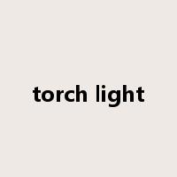 torch light是什么意思