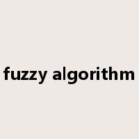fuzzy algorithm是什么意思