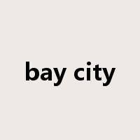 bay city是什么意思
