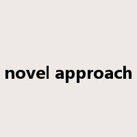 novel approach是什么意思