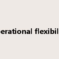 operational flexibility是什么意思
