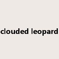 clouded leopard是什么意思