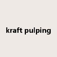 kraft pulping是什么意思