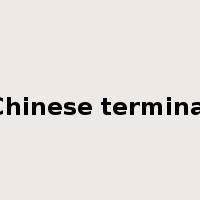 Chinese terminal是什么意思
