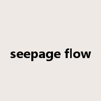 seepage flow是什么意思