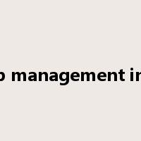 desktop management interface是什么意思
