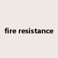 fire resistance是什么意思